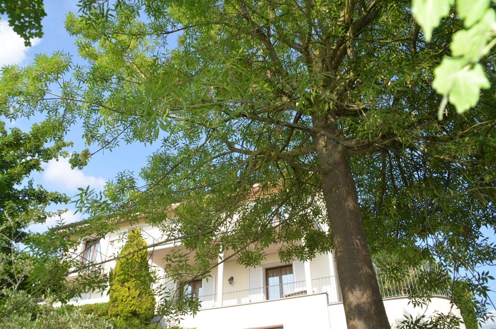 Villa Patrizia Moncalvo Dış mekan fotoğraf